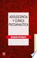 libro Adolescencia Y Clínica Psicoanalítica