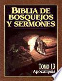 libro Biblia De Bosquejos Y Sermones Rv 1960 Apocalipsis