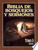 libro Biblia De Bosquejos Y Sermones Rv 1960 Juan