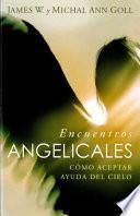 libro Encuentros Angelicales
