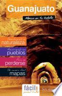 libro Guanajuato (méxico)